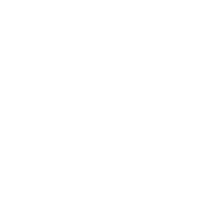 Brise-soleil